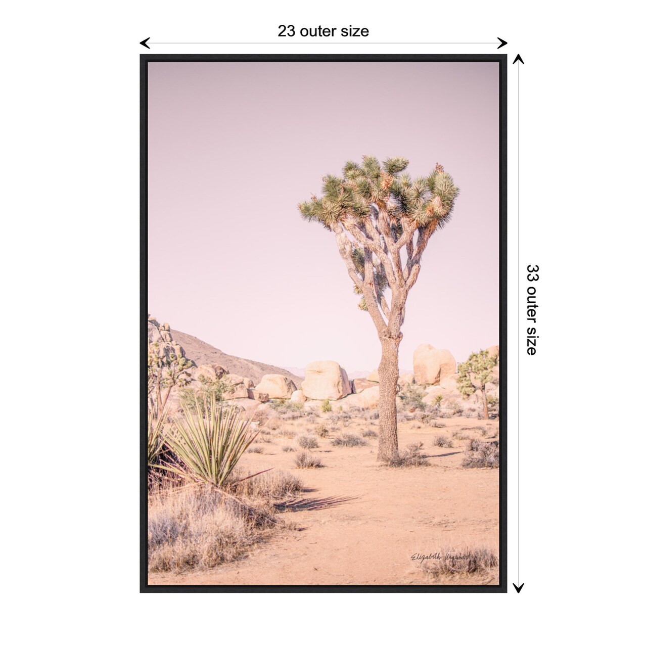 Joshua Tree III Blush by Elizabeth Urquhart Canvas Wall Art Print Framed